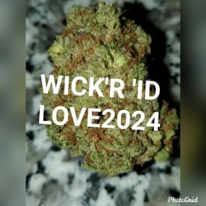 Bxktkk's LeafedOut Profile