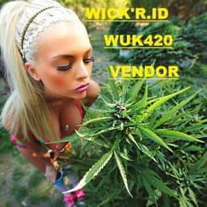 BUYMEDICLAMAHRIJUANA444's LeafedOut Profile
