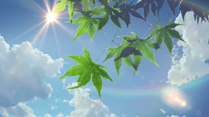 asuka420's LeafedOut Profile