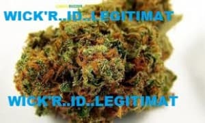 sdrghtrjymt's LeafedOut Profile