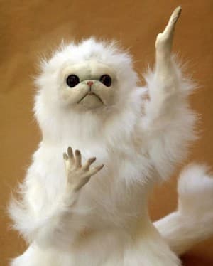 doom2's LeafedOut Profile