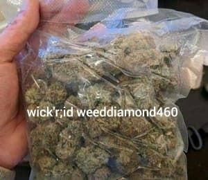 everydayweed420's LeafedOut Profile