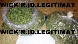kihugiufi's LeafedOut Profile