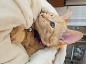 Drmsthemonarch's LeafedOut Profile