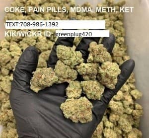 FASTDELIVERYOFKUSH22's LeafedOut Profile