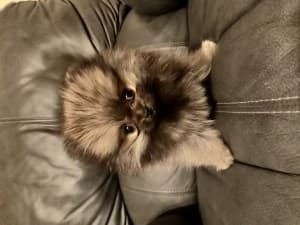 Gia_B13's LeafedOut Profile