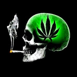 FloridaGreenTree's LeafedOut Profile