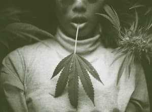 BrooklynLondonTokyo's LeafedOut Profile