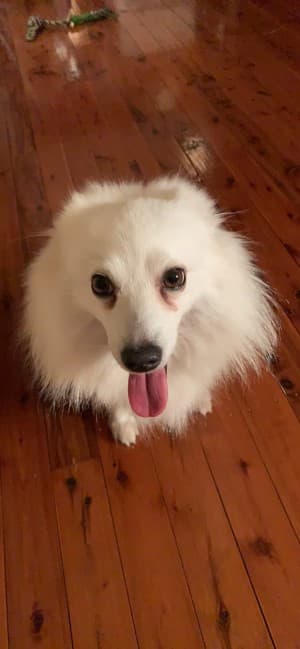 Sleony's LeafedOut Profile