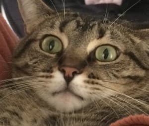 Bigry27's LeafedOut Profile