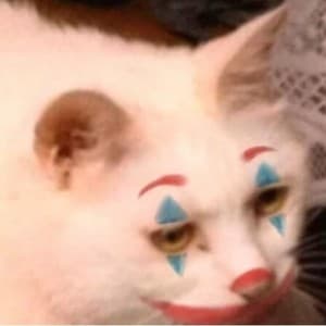 StinkyRat's LeafedOut Profile