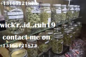 dhbvmfsdfew's LeafedOut Profile