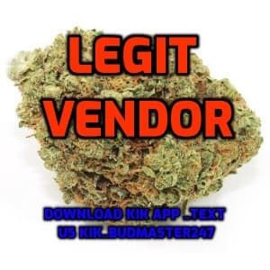 Sour---Buds--Diesel-Strain's LeafedOut Profile
