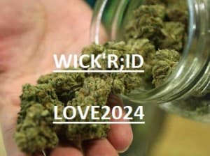 edwrwqad's LeafedOut Profile