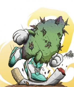 Soxsfan's LeafedOut Profile