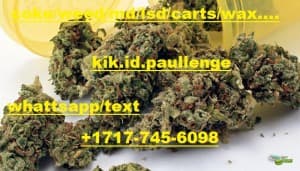 KIK-PAULLENGE's LeafedOut Profile