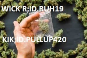 bndfknlvmsdb's LeafedOut Profile
