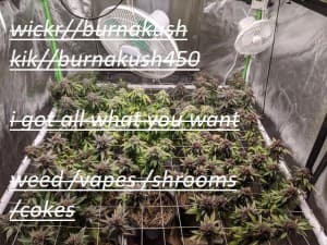 thtyhtljughfgitjkyt's LeafedOut Profile