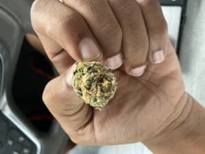 EazyBreeze19's LeafedOut Profile