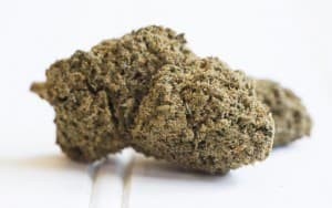 Maceflow420's LeafedOut Profile