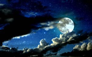 celestialindigo's LeafedOut Profile