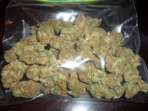 Weed-and-Buds15's LeafedOut Profile