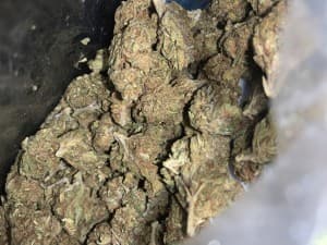 Smokeshop626's LeafedOut Profile