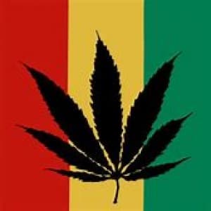 Cosom420's LeafedOut Profile