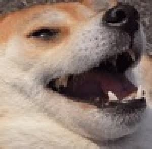 bean_dog's LeafedOut Profile