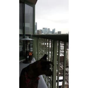 deeohousebudz's LeafedOut Profile