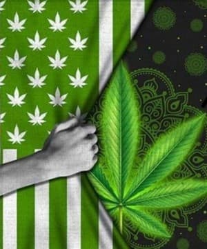 ReeferSeeker's LeafedOut Profile