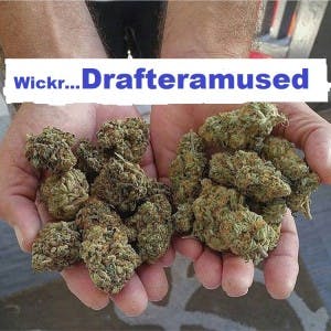 Drafter4201's LeafedOut Profile