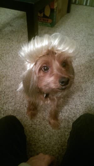 Hippocramp's LeafedOut Profile