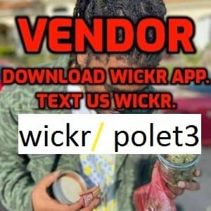 wfref43's LeafedOut Profile