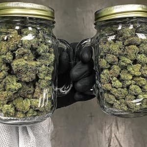 Haywardsmith710's LeafedOut Profile