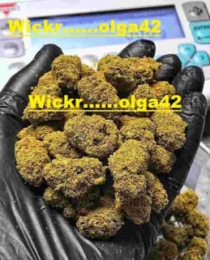 buylBUDbudkushfromWickridolga42's LeafedOut Profile