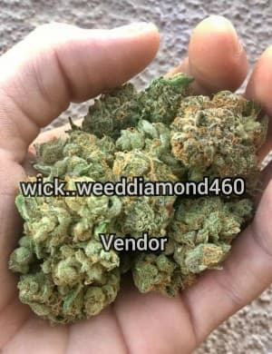 Lionking420's LeafedOut Profile