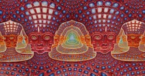 TrippasnippaTalknabout's LeafedOut Profile