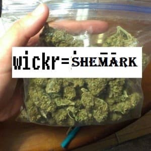 Zsdfghj5f's LeafedOut Profile