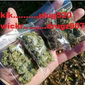 zdxfgchvjjghf's LeafedOut Profile