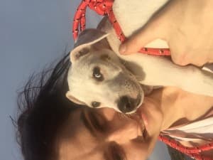 angeljess9's LeafedOut Profile