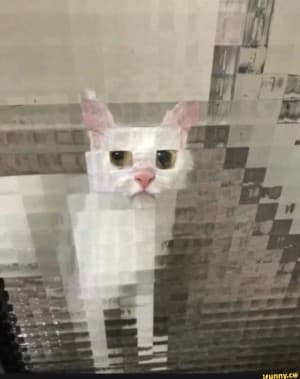 HighBabe's LeafedOut Profile