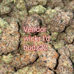 Brightonal420's LeafedOut Profile