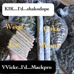 shako33's LeafedOut Profile