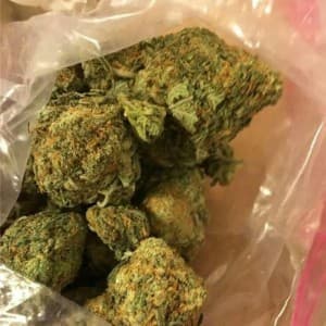 Kalow420's LeafedOut Profile