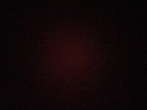 Brianna16's LeafedOut Profile