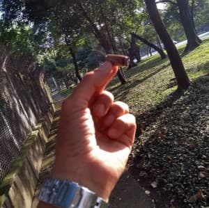 jeremiadmorgan's LeafedOut Profile