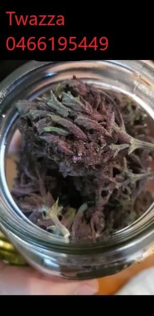 ReloadMEwithWEED's LeafedOut Profile