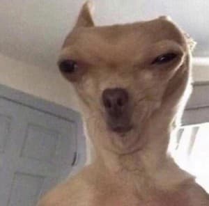 happyfudge420's LeafedOut Profile