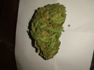 CannabisKiller's LeafedOut Profile